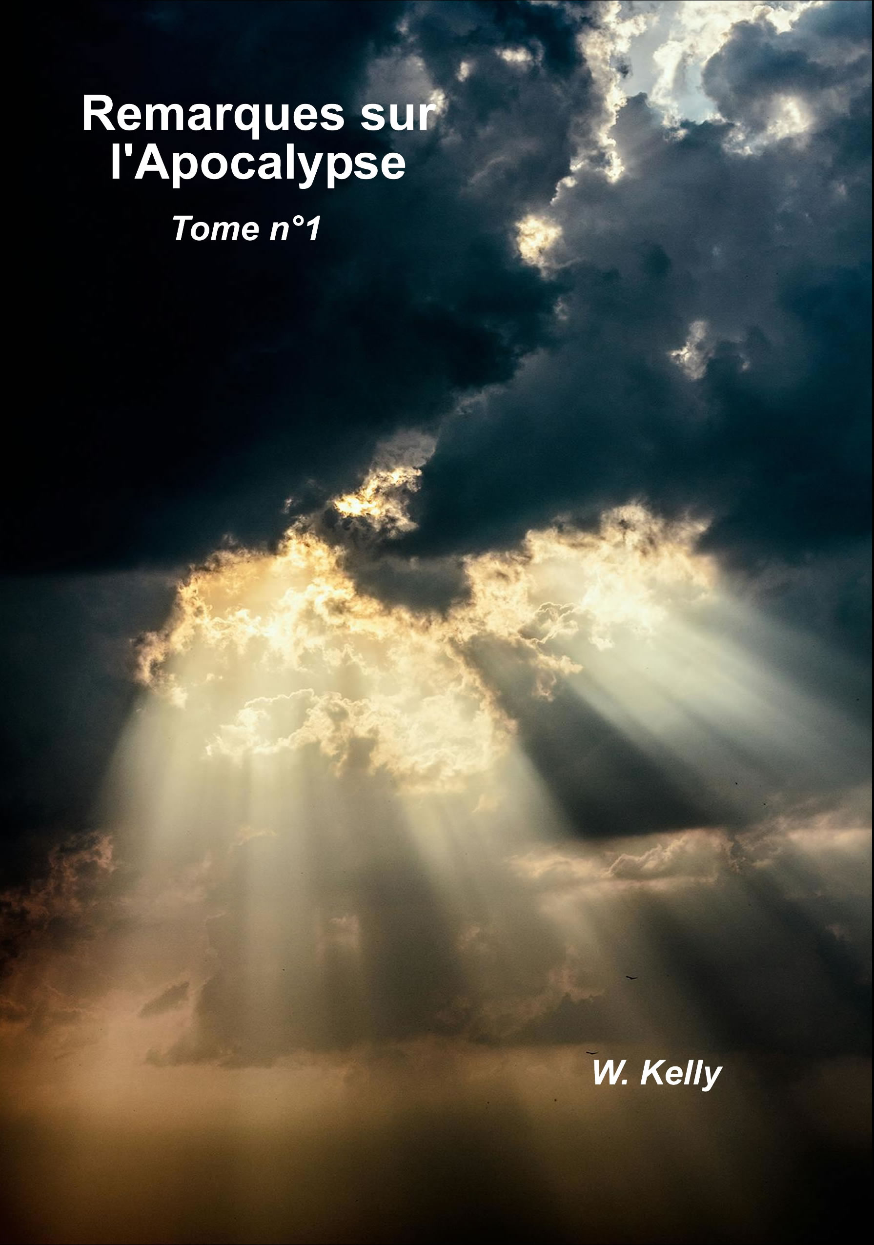 Remarques sur l'Apocalypse - Tome 1
