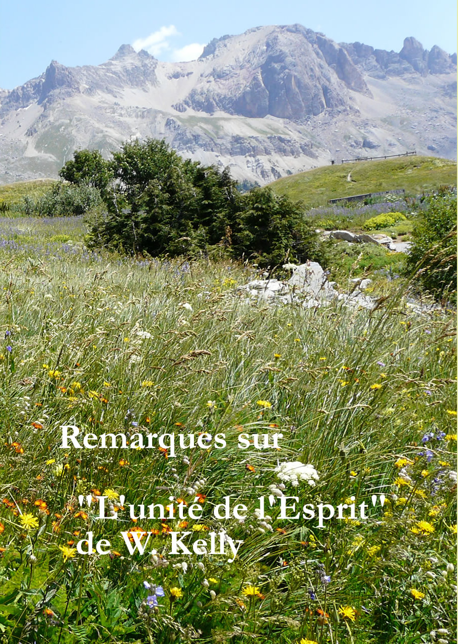 Remarques sur "L'unité de l'Esprit"