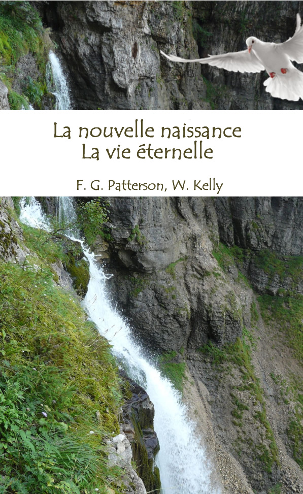 La nouvelle naissance, la vie éternelle