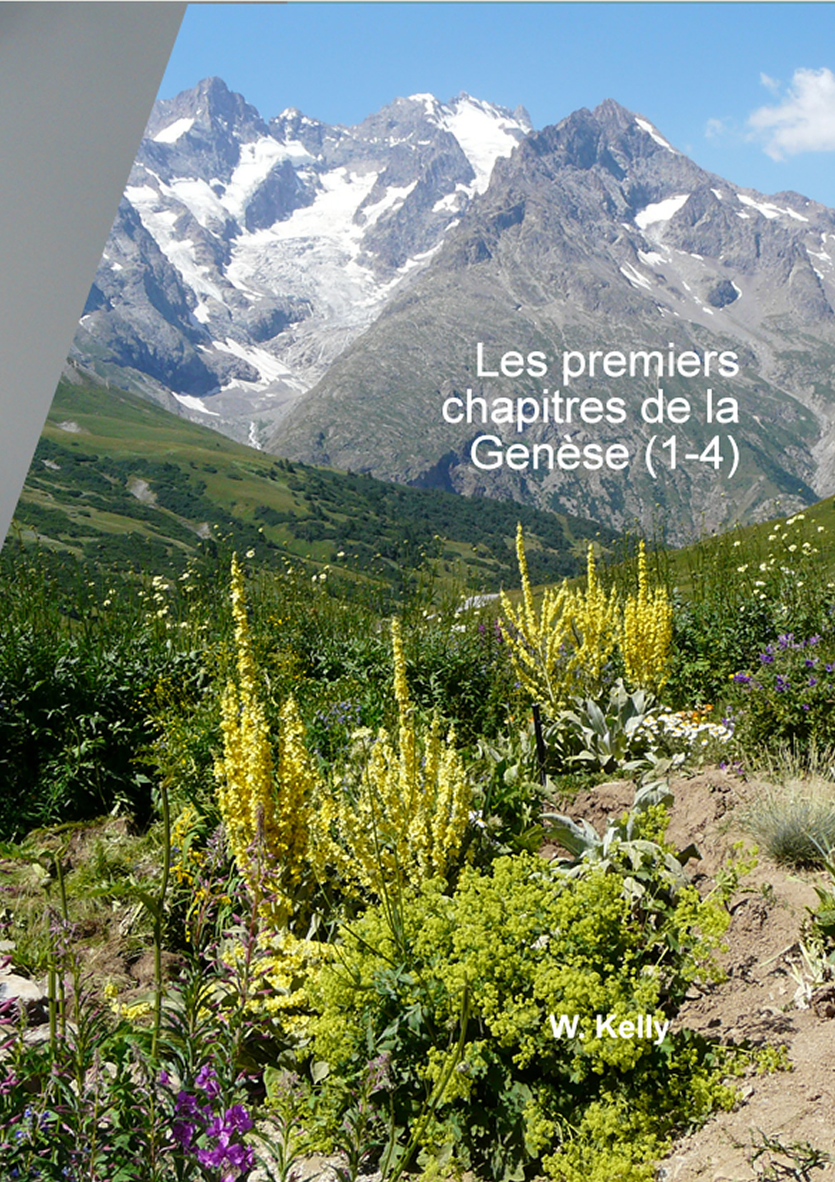 Les premiers chapitres de la Genèse (1-4)