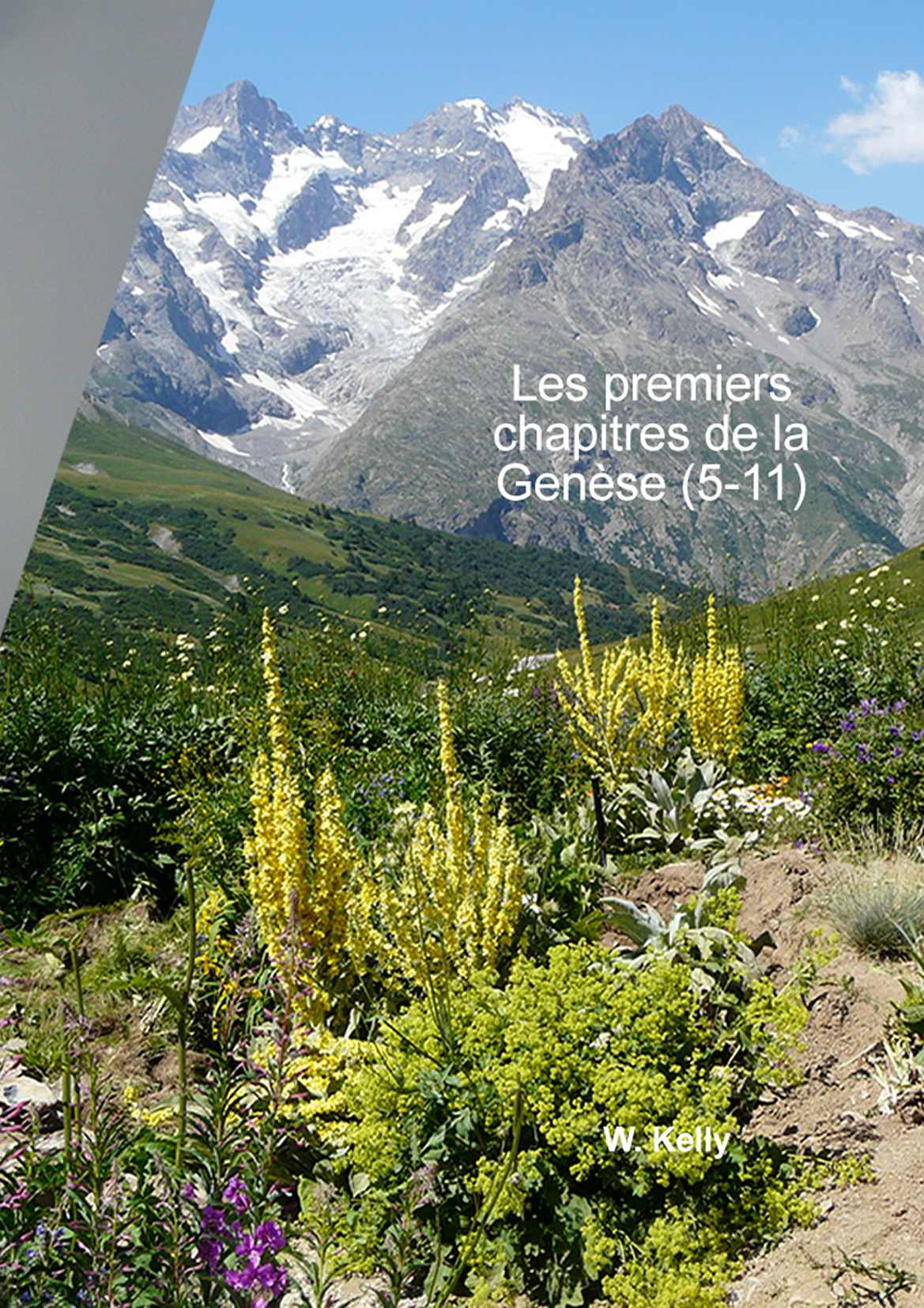Les premiers chapitres de la Genèse (5-11)